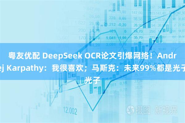 粤友优配 DeepSeek OCR论文引爆网络！Andrej Karpathy：我很喜欢；马斯克：未来99%都是光子