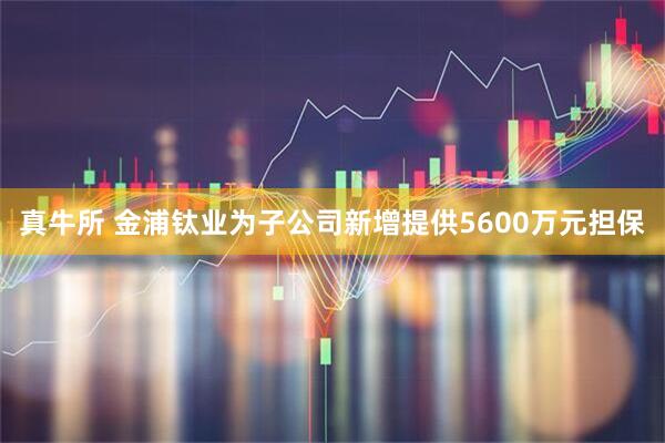 真牛所 金浦钛业为子公司新增提供5600万元担保