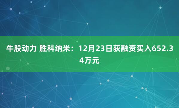 牛股动力 胜科纳米：12月23日获融资买入652.34万元