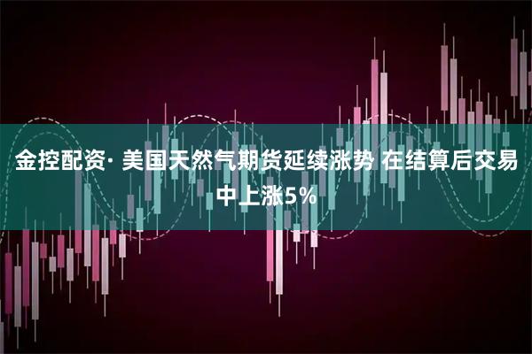 金控配资· 美国天然气期货延续涨势 在结算后交易中上涨5%