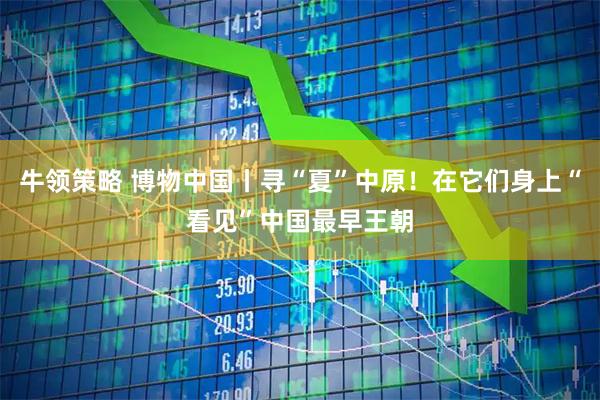 牛领策略 博物中国丨寻“夏”中原！在它们身上“看见”中国最早王朝