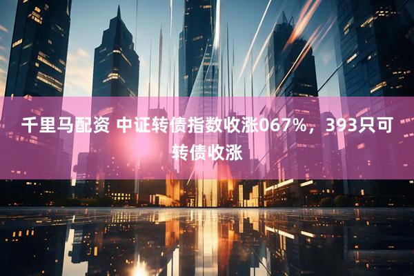 千里马配资 中证转债指数收涨067%，393只可转债收涨